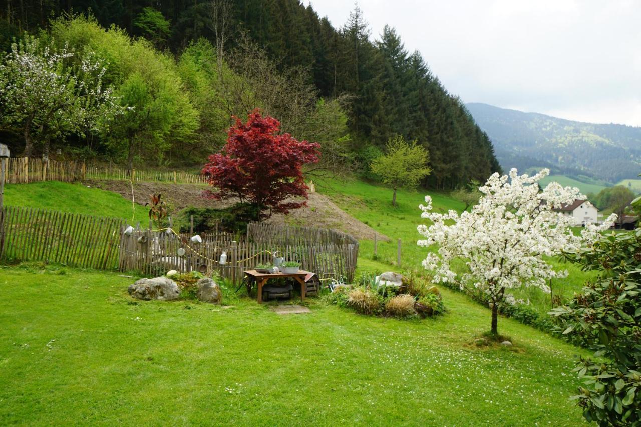 Hoellkopf - Stubenhof, Black Forest Simonswald Extérieur photo
