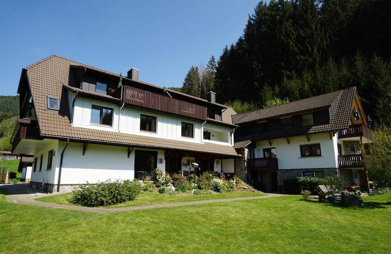 Hoellkopf - Stubenhof, Black Forest Simonswald Extérieur photo