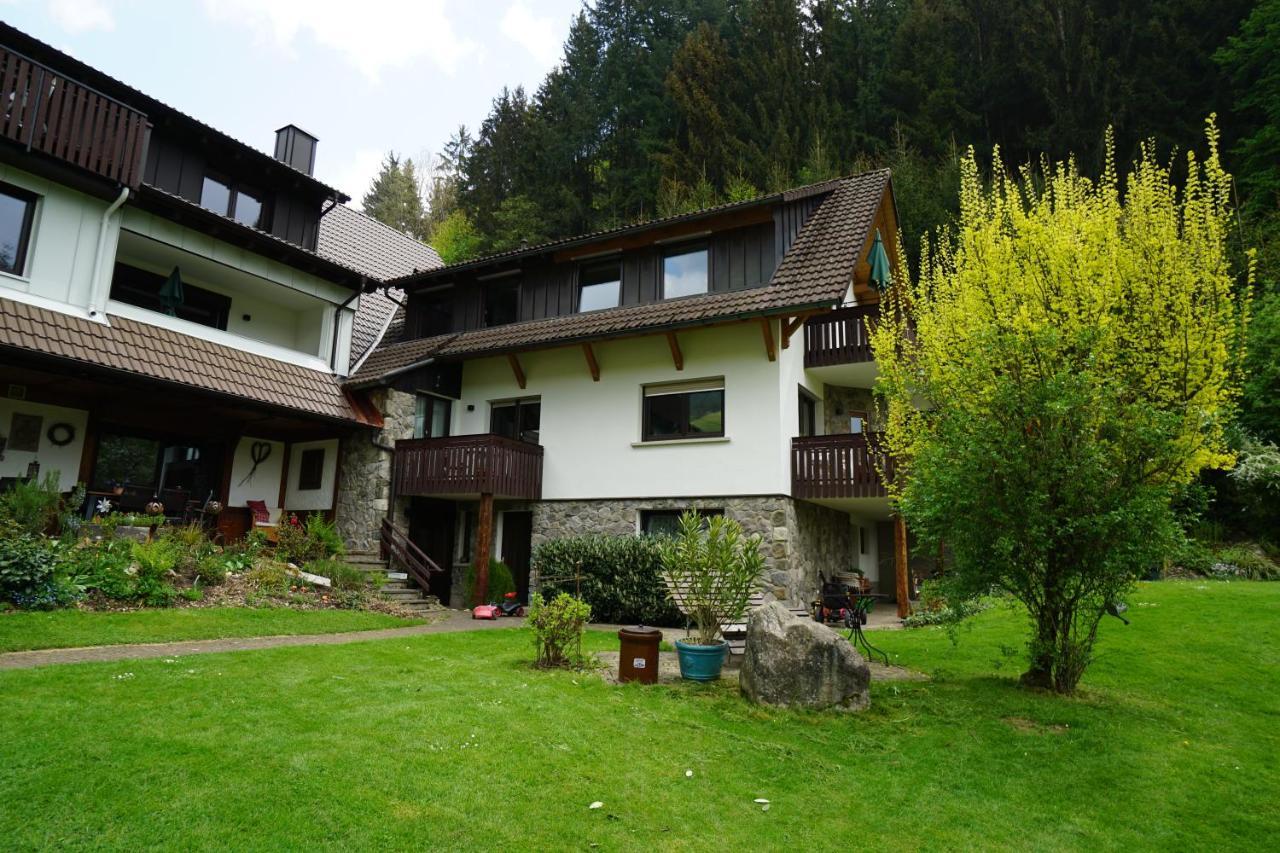 Hoellkopf - Stubenhof, Black Forest Simonswald Extérieur photo